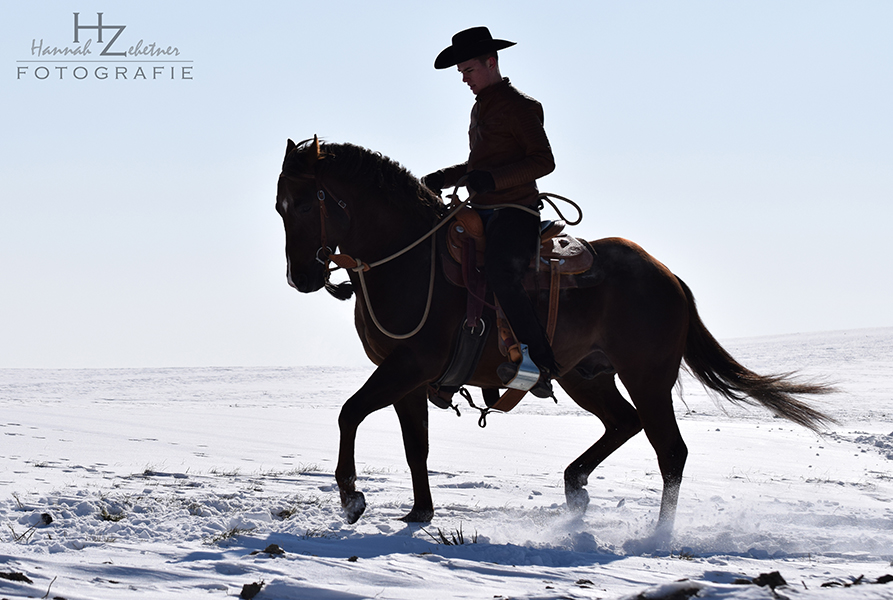 Altkalifornische Reitweise, Bosal, Gebisslos Reiten, Westernreiten Österreich, Kalifornisches Reiten