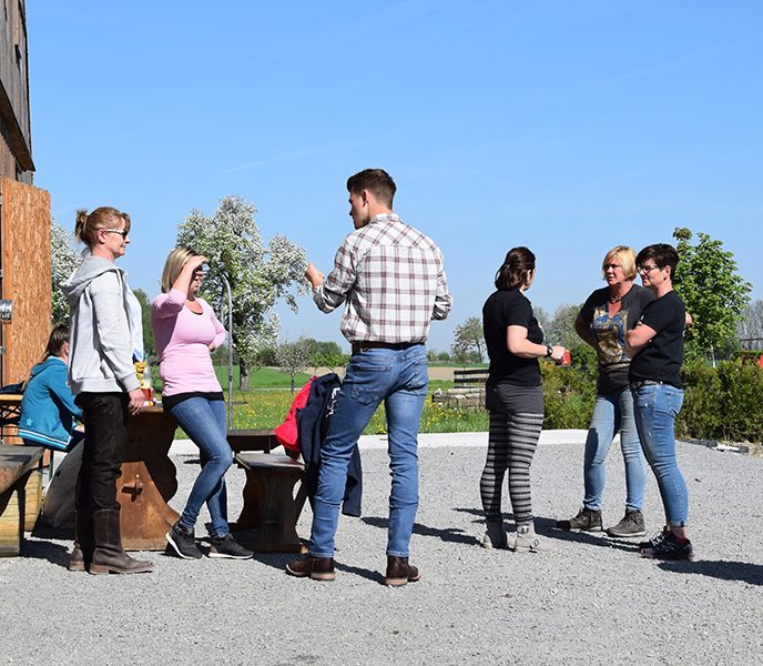 Mobiler Reitunterricht, Pferdetraining, Reitlehrer